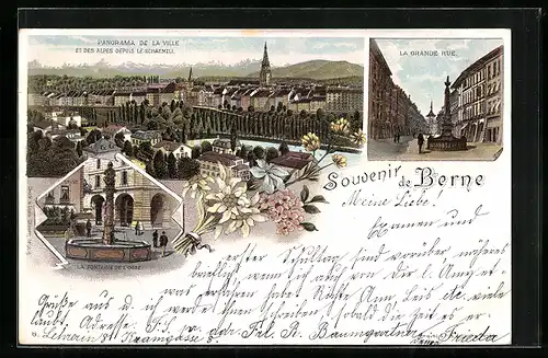 Lithographie Berne, La Grande Rue, La Fontaine de L`Ogre, Panorama de la Ville