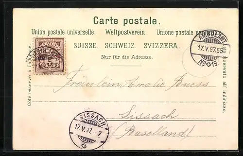 Lithographie Basel, Panorama mit Brücke, Münster, Rathhaus