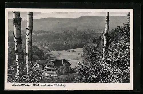 AK Bad Altheide, Blick nach dem Steinberg