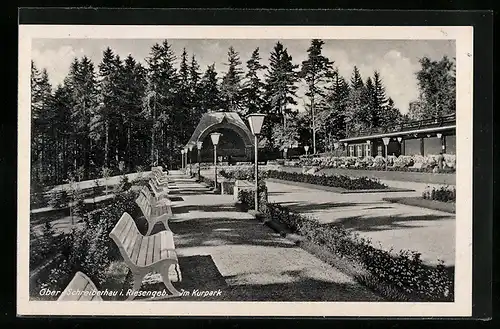 AK Ober-Schreiberhau /Riesengeb., Im Kurpark