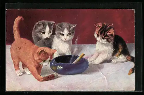 AK Katzen spielen mit Zigarette