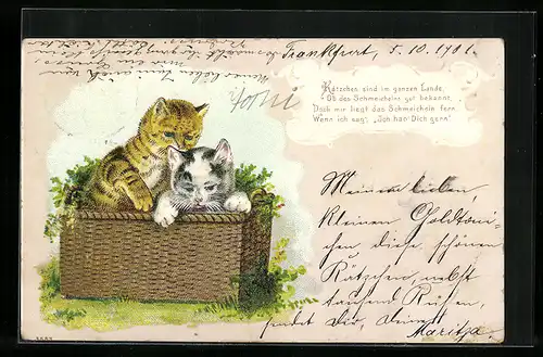 Lithographie Zwei Katzenkinder in einer Korbtruhe