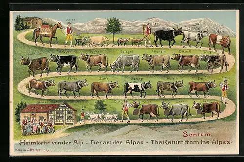 AK Sentum, Heimkehr von der Alp