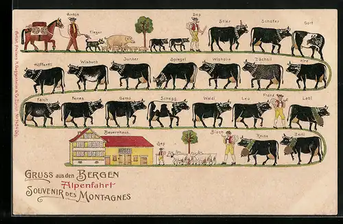 AK Abfahrt von Kühen von der Alm