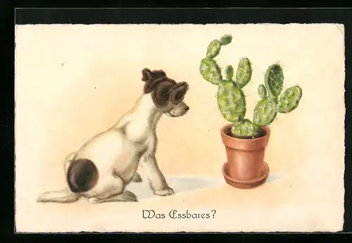 AK Kleiner Hund erwägt einen Kaktus zu fressen
