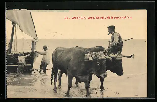 AK Valencia, Angespannte Ochsen vor einem anlegenden Fischerboot
