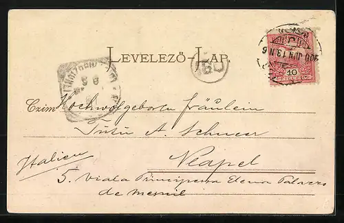 AK Junge Frau füttert ihren Esel mit Gemüse