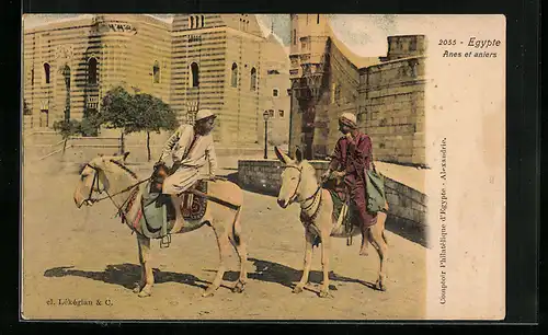 AK Egypte, Anes et aniers