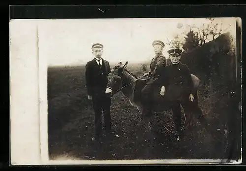 Foto-AK Drei Schüler mit einem Esel