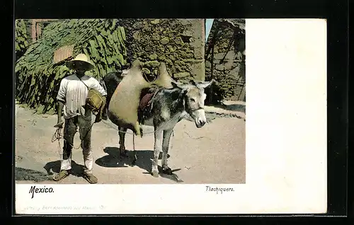 AK Mexiko, Bepackter Esel mit Besitzer