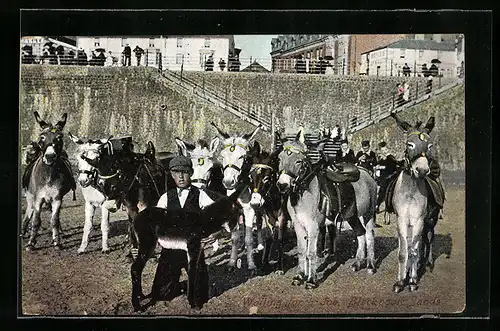 AK Blackpool Sands, Gesattelte und bepackte Esel in einer Arena, Besitzer mit Fohlen