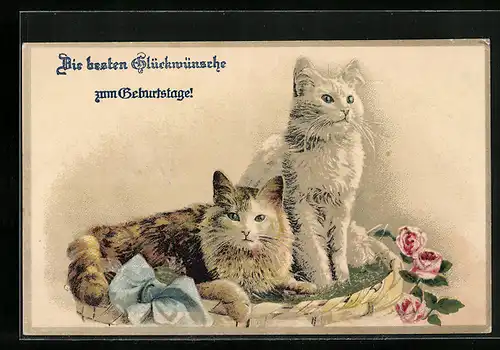 AK Zwei Katzen im Korb mit Rosen