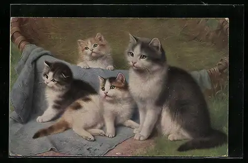 AK Katze mit Jungtieren