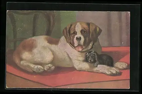 AK Bernhardiner mit einem kleinen schwarzen Welpen