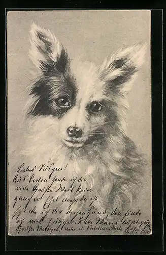 AK Hund mit hochstehenden langen Ohren, Portrait