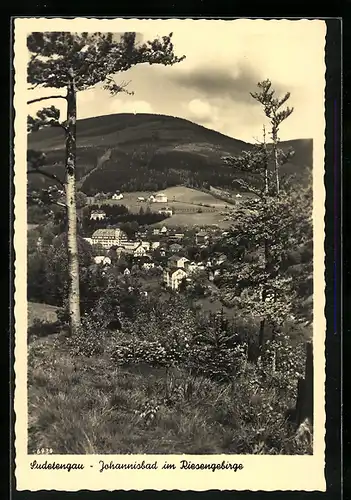 AK Johannisbad / Janske Lazne, Blick von einer Anhöhe auf den Ort