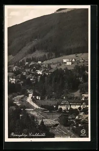 AK Spindelmühle /Riesengebirge, Teilansicht mit Fluss und Brücke