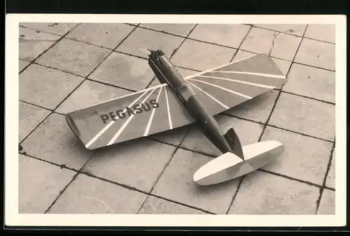 Fotografie Modell-Flugzeug Pegasus, Spielzeug-Flugzeug mit Verbrennungsmotor