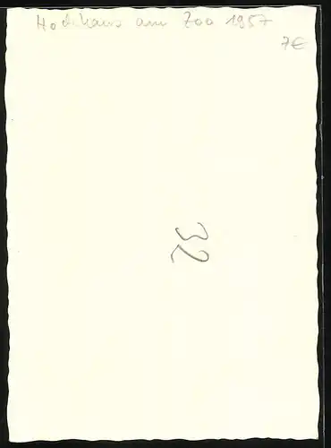 Fotografie unbekannter Fotograf, Ansicht Berlin-Charlottenburg, Hochhaus am Zoo & Kino Zoopalast