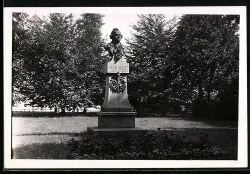 Fotografie Trinks & Co., Leipzig, Ansicht Aalen / Württ., Schubert Denkmal