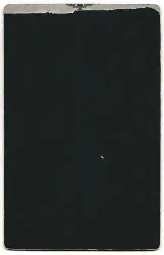 Fotografie E. Buckley, Oldham, Dame mit ondulierten Haaren in verziertem Sonntagskleid