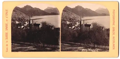 Stereo-Fotografie Gabler, Interlaken, Ansicht Weggis, Blick vom Berg nach dem Ort und See