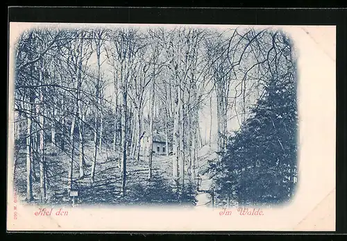 AK Kiel, Im Walde
