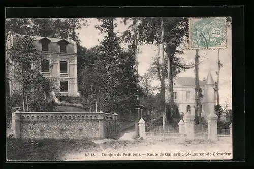 AK St-Laurent-de-Crèvedent, Donjon du Petit Bois