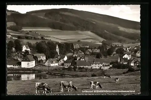 AK Wiemeringhausen /Hochsauerland, Ortsansicht mit grasenden Kühen