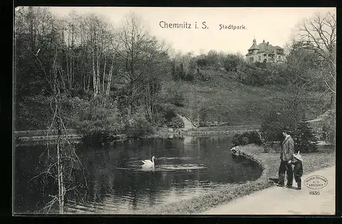 AK Chemnitz i. S., Schwan im Stadtpark