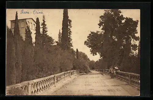 AK Alupka /Krim, Strassenpartie mit Zypressen