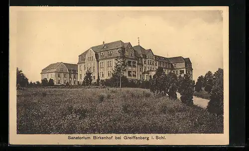 AK Greiffenberg, Sanatorium Birkenhof mit Zufahrt