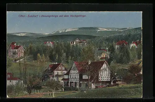 AK Ober-Seidorf /Rsgb., Ortsansicht mit Hochgebirgsblick