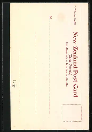 AK Wellington, Oriental Bay