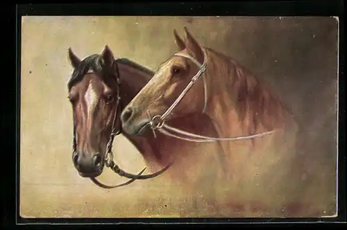AK Bildnis zweier Pferde mit Zügel und Zaumzeug