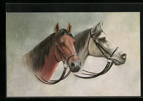 Künstler-AK Portrait zweier Pferde mit Zaumzeug