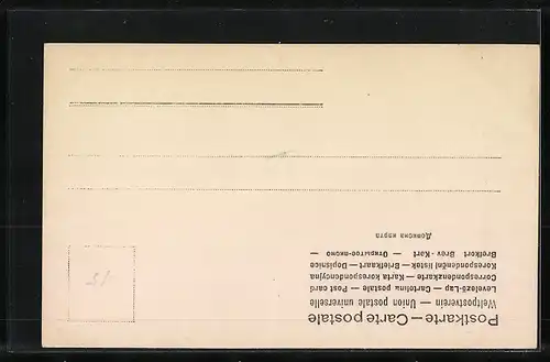 AK Reitpferd mit Halfter, Seitenportrait