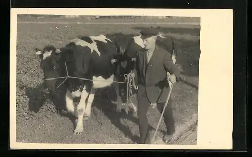 AK Bauer mit Rindern an einer Leine