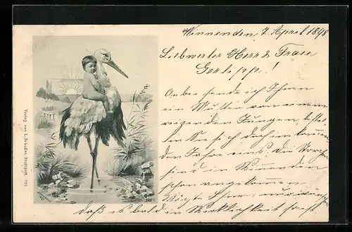 AK Baby auf dem Rücken eines Klapperstorchs am See