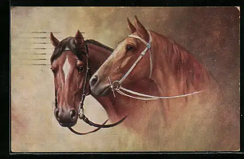 AK Bildnis zweier Pferde mit Zügel und Zaumzeug