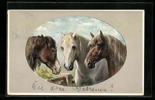 Passepartout-AK Drei Pferde auf der Weide