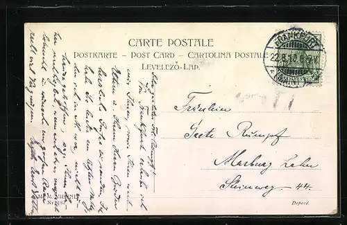 Passepartout-AK Drei Pferde auf der Weide