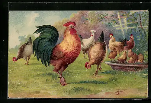 AK stolzer Hahn mit seinen Hühnern auf der Wiese Fröhliche Ostern