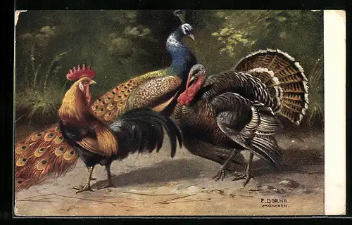 AK Hahn mit Truthahn und Pfau in einem Park