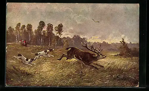 AK Jagdhunde jagen einen Hirsch