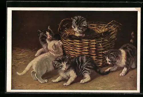 AK Kätzchen im Korb mit Geschwistern daneben