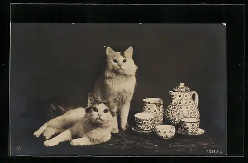 AK Zwei Katzen neben einem Kaffeeservice