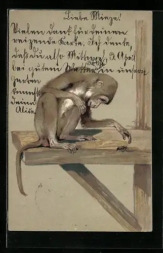 AK Affe auf einem Gerüst greift nach einem Maikäfer