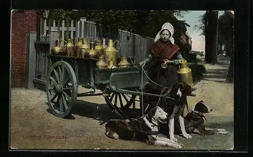 AK Hondenkar, Hundegespann vorm Milchwagen