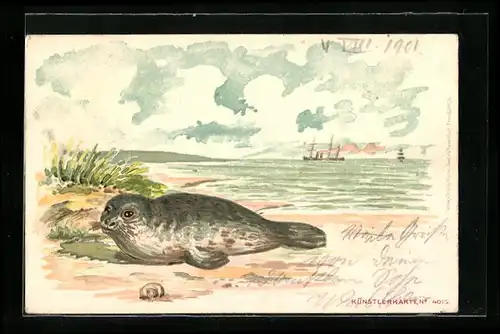AK Seehund am Strand, Schiff an der Küste vor Anker liegend